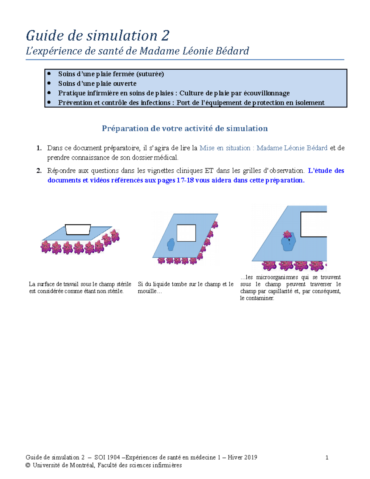 SOI1904 H19 Guide de Simulation 2 - Guide de simulation 2 L’expérience ...