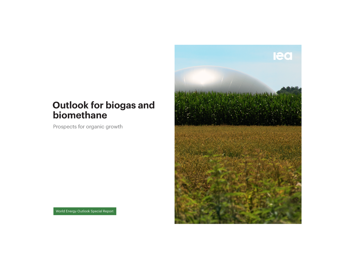 Biogas - Hjhjhj - Outlook For Biogas And Prospects For Organic Growth ...