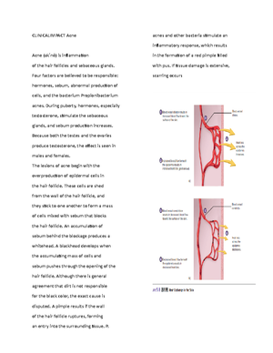 Seeley's Anatomy And Physiology Chapter 6.18 - 140 Chapter 6 Class And ...