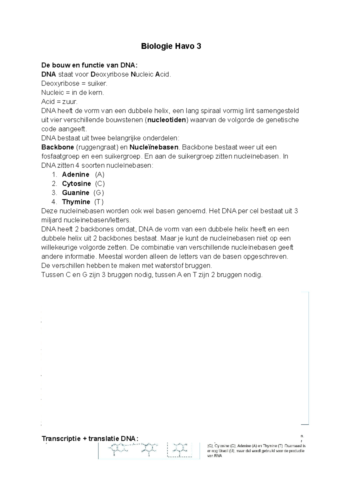 Bio Samenvatting Biologie Havo De Bouw En Functie Van Dna Dna