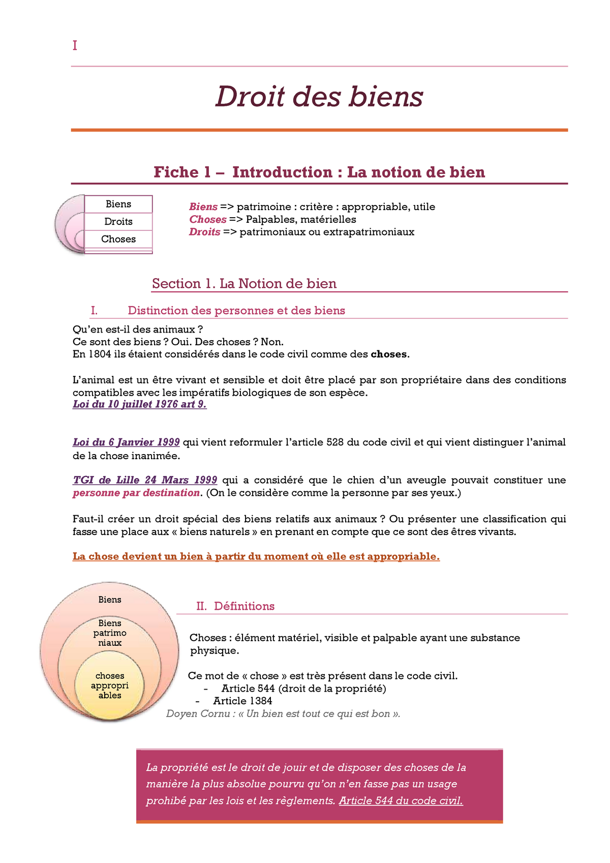 Fiches Droit Des Biens - I Biens Biens Patrimo Niaux Choses Appropri ...