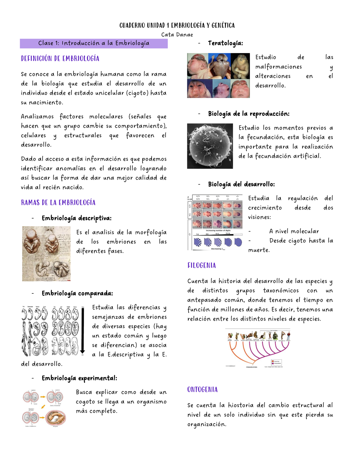 Solemne 1 Embriologia Y Genetica - Cata Danae Clase 1: Introducción A ...