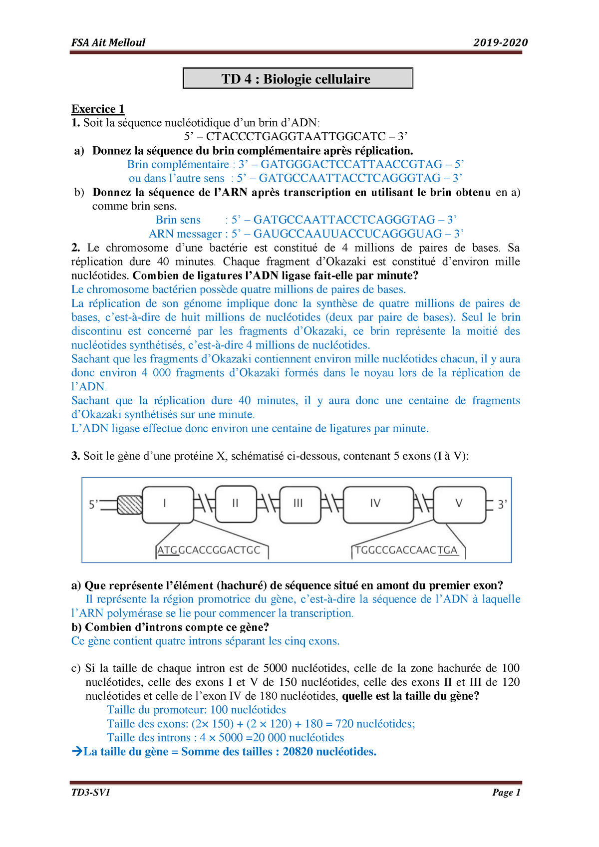 Correction TD4 Biologie Cellulaire II - Biologie Cellulaire - Studocu