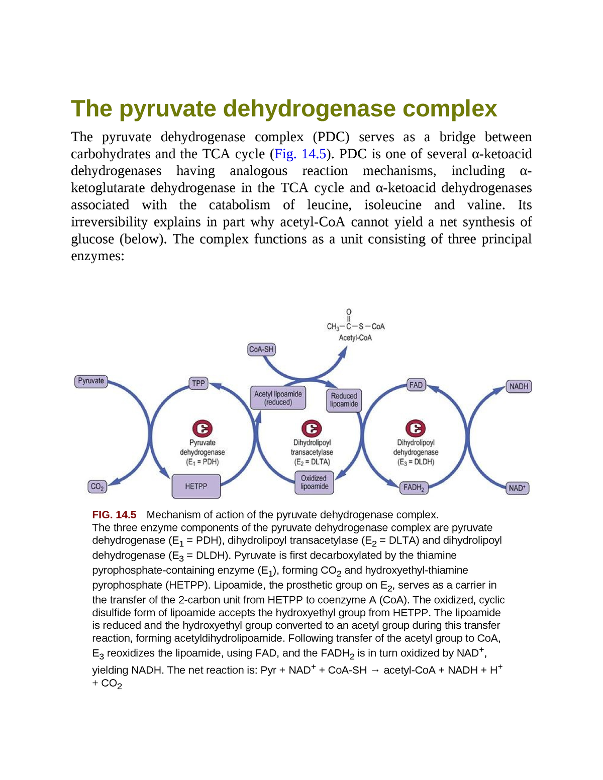 Biochemistry Important 90 The Pyruvate Dehydrogenase Complex The Pyruvate Dehydrogenase