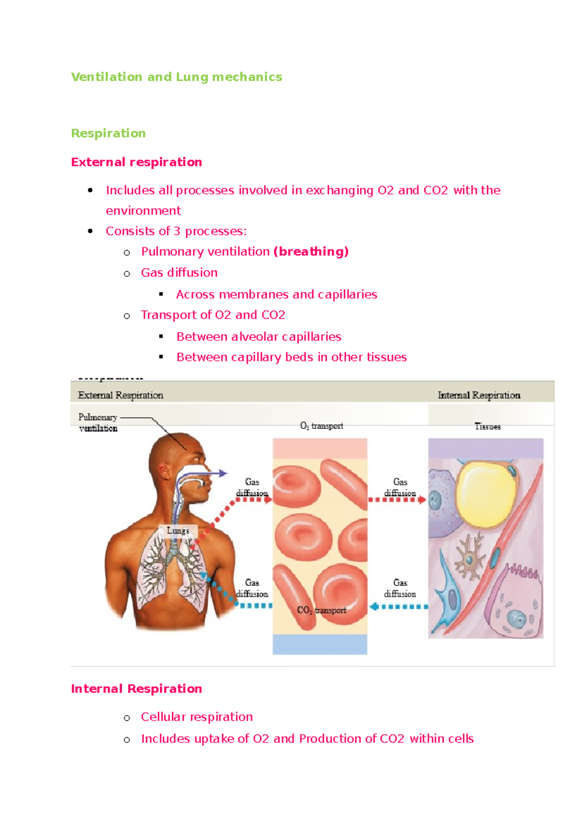 L2 Ventilation and Lung mechanics Ventilation and Lung mechanics