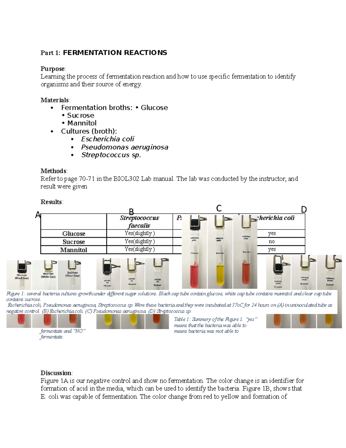 Fermentation Reaction Materials Fermentation broths • Glucose