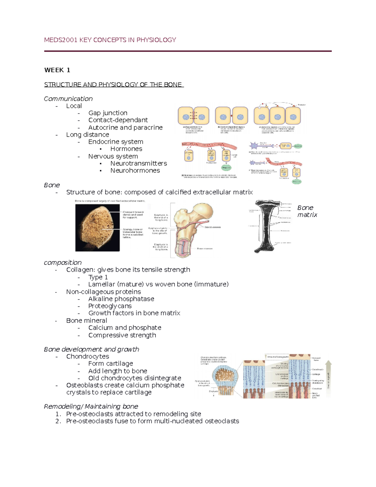 MEDS2001 Exam Revision - MEDS2001 KEY CONCEPTS IN PHYSIOLOGY WEEK 1 ...