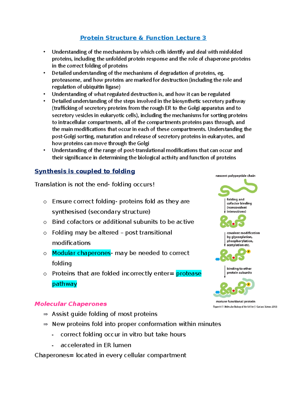 Protein Structure week 5 Protein Structure & Function Lecture 3