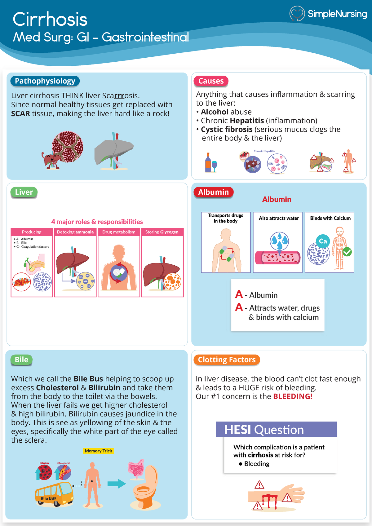 Liver, Gallbladder & Pancreas - Cirrhosis Med Surg: GI ...