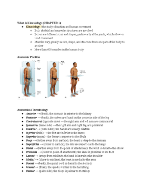 Unit 2 Kines Notes - Bones in Foot (26 Bones and 100 ligaments) (19 ...