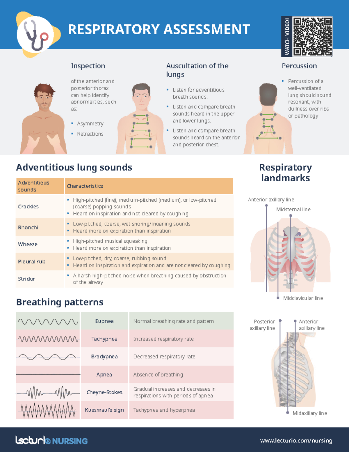 NURS Cheat Sheet Respiratory-Assessment - lecturio/nursing Inspection ...