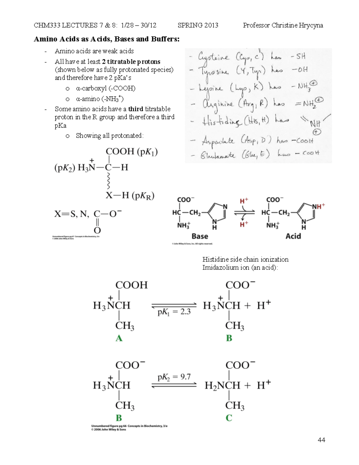 Lecture 7- 8 Amino Acids as Acids, Bases and Buffers - Amino Acids as ...