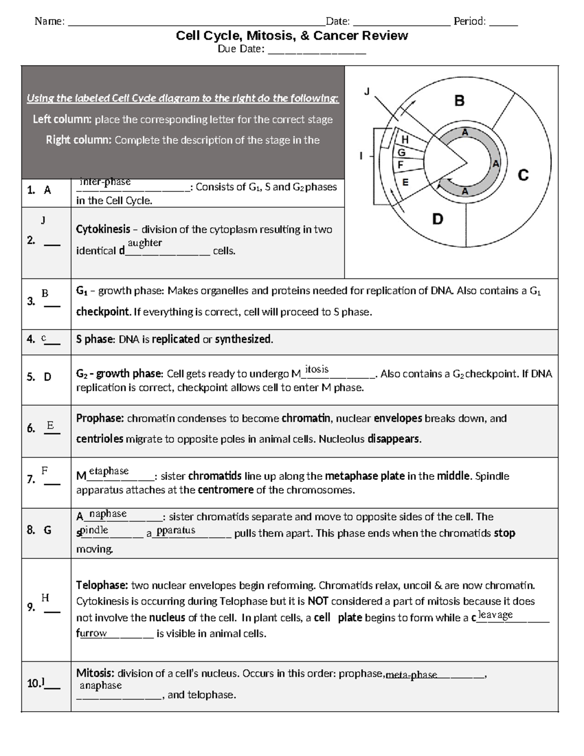 Copy of Mitosis Exam review - Name ...