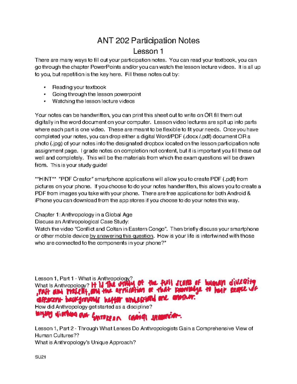 L1 Participation Notes - SU ANT 202 Participation Notes Lesson 1 There ...
