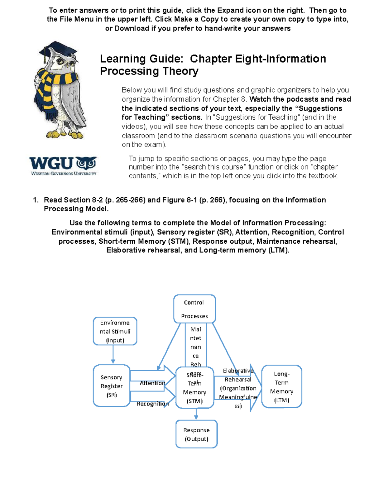 Copy of Chapter 8 Learning Guide - To enter answers or to print this ...