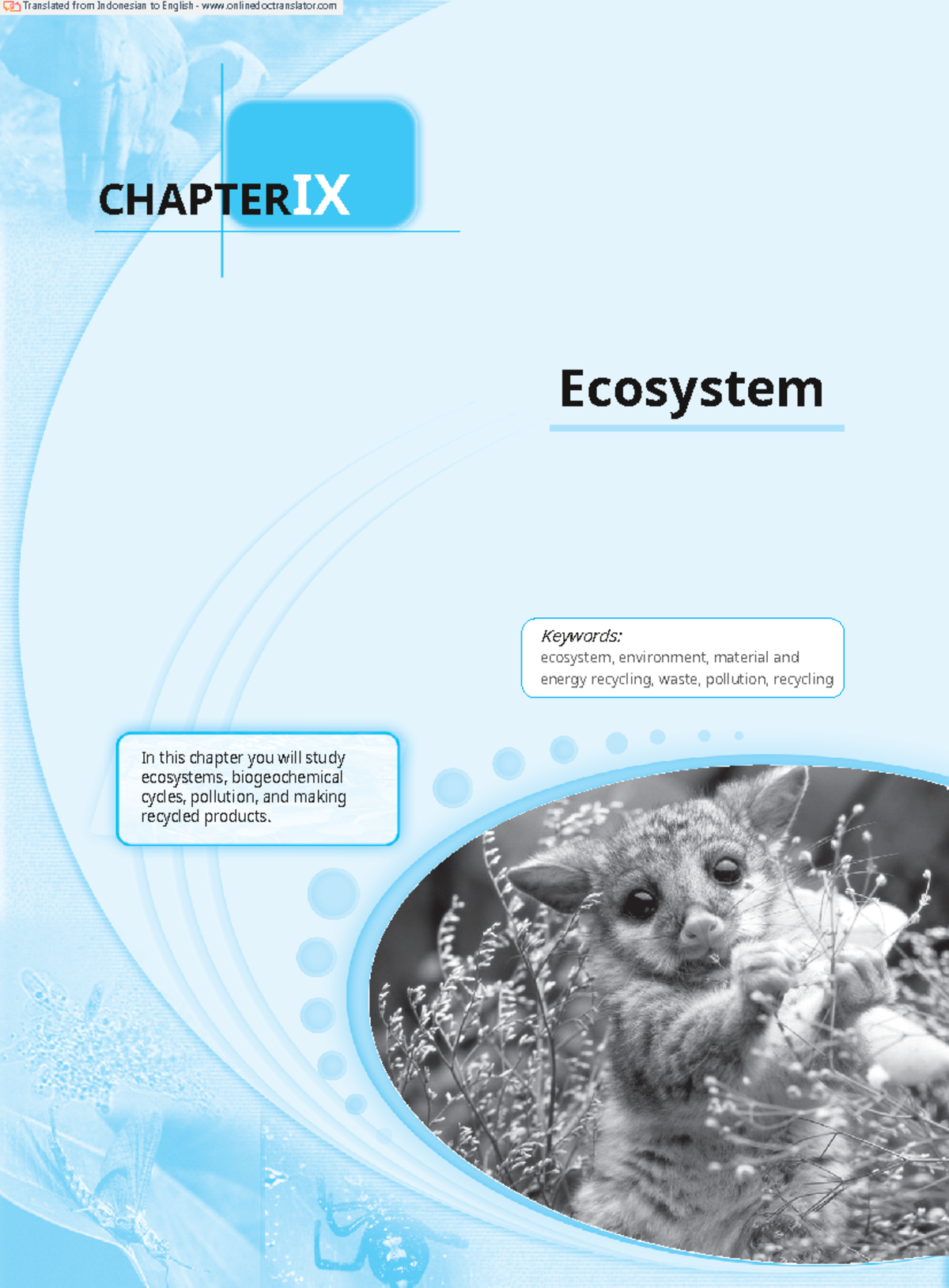 Ecosystem Compiler Components - CHAPTERIX Ecosystem Keywords: Ecosystem ...