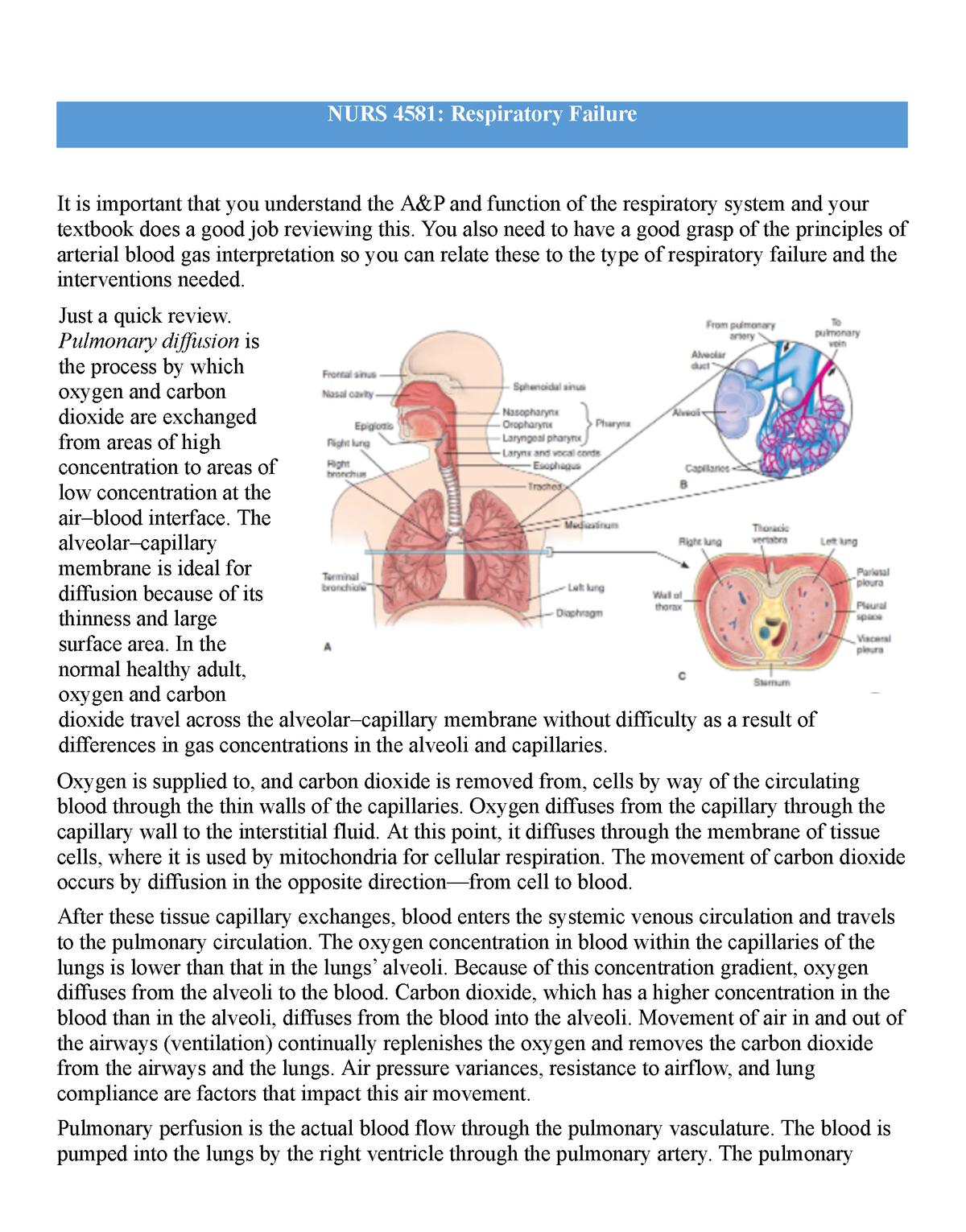 Respiratory Failure - Advanced Airways and Suctioning - NURS 4581 ...