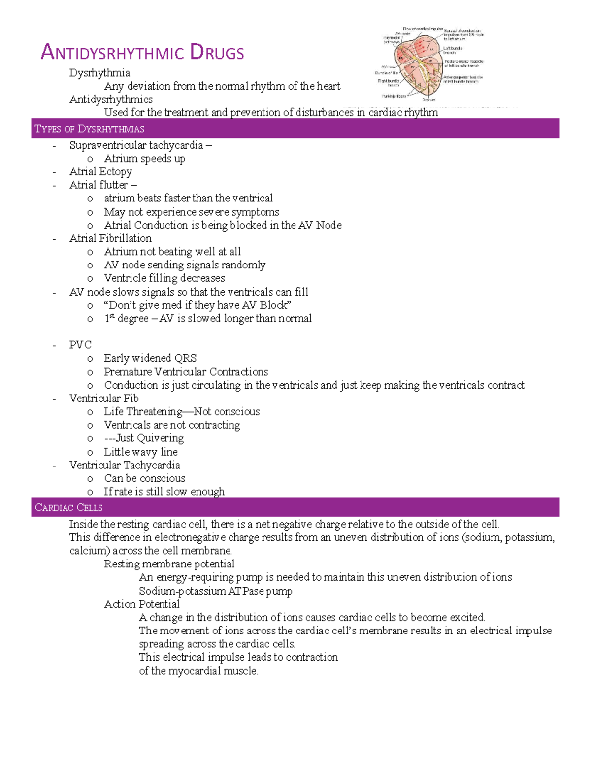 13 Cardiac Rhythm and Dysrhythmias Cheat Sheet Any Nurse Must Know for the  Exam 