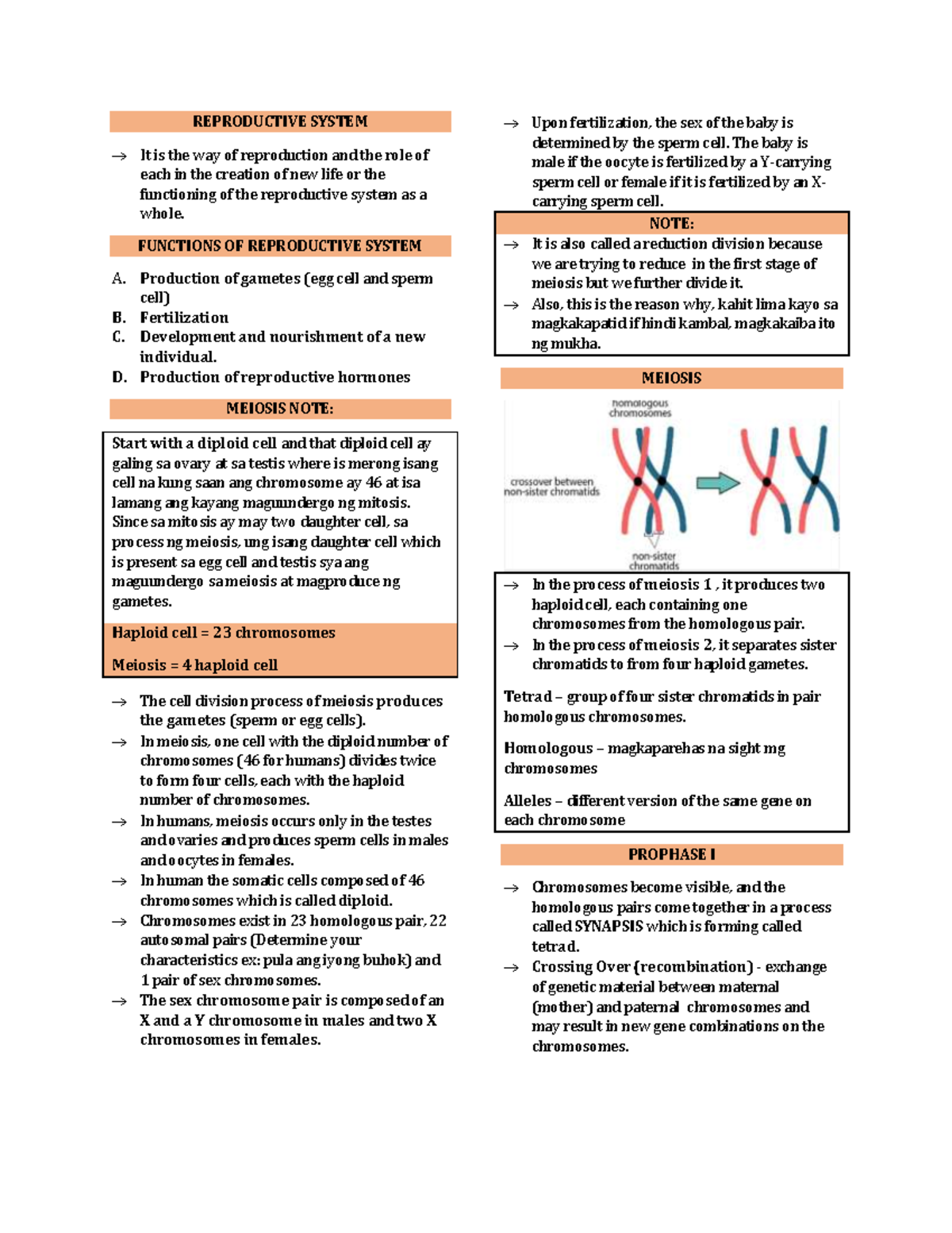 Reproductive System Reviwer PDF - REPRODUCTIVE SYSTEM → It is the way ...