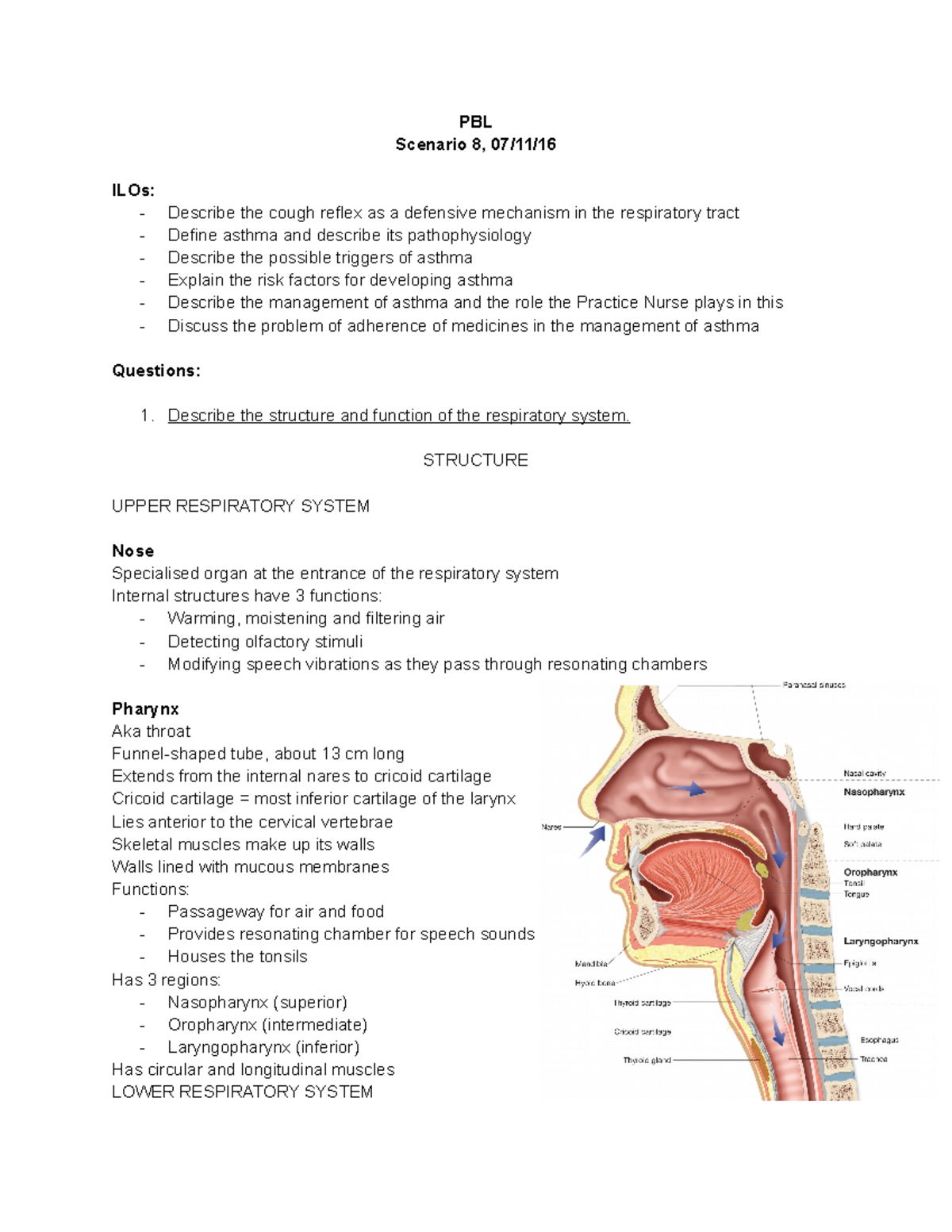 Year 1 PBL Asthma - PBL Scenario 8, 07/11/ ILOs: - Describe the cough ...