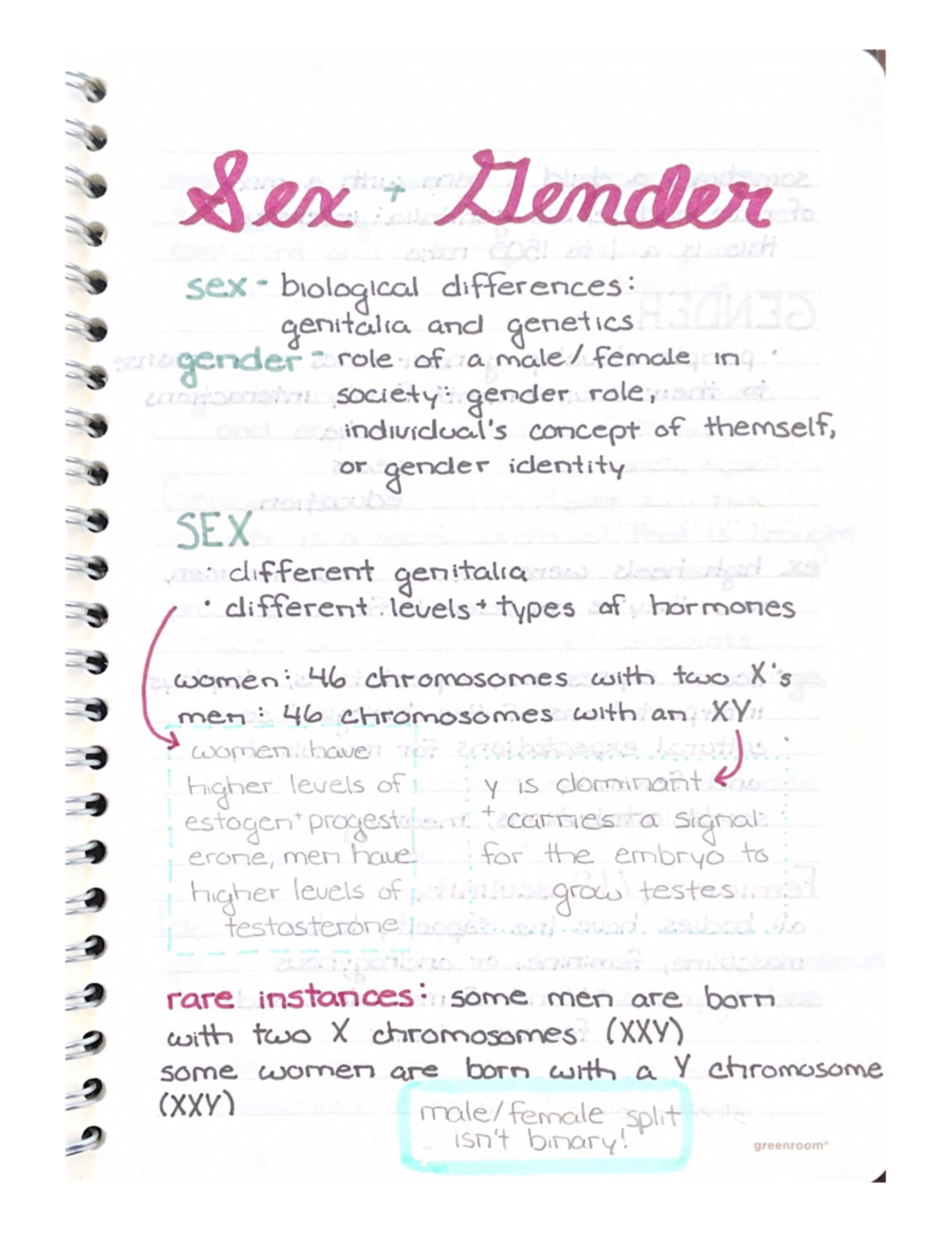 Gender Studies Notes - Sex Gender sex biological differences: genitalia ...