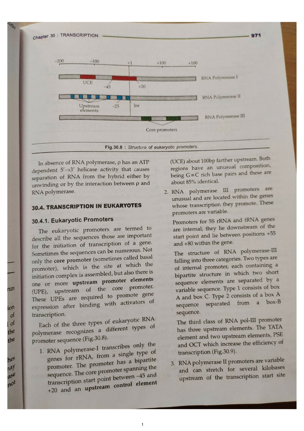 DOC 20221119 WA0045 Molecular Biology Studocu   Thumb 1200 1697 