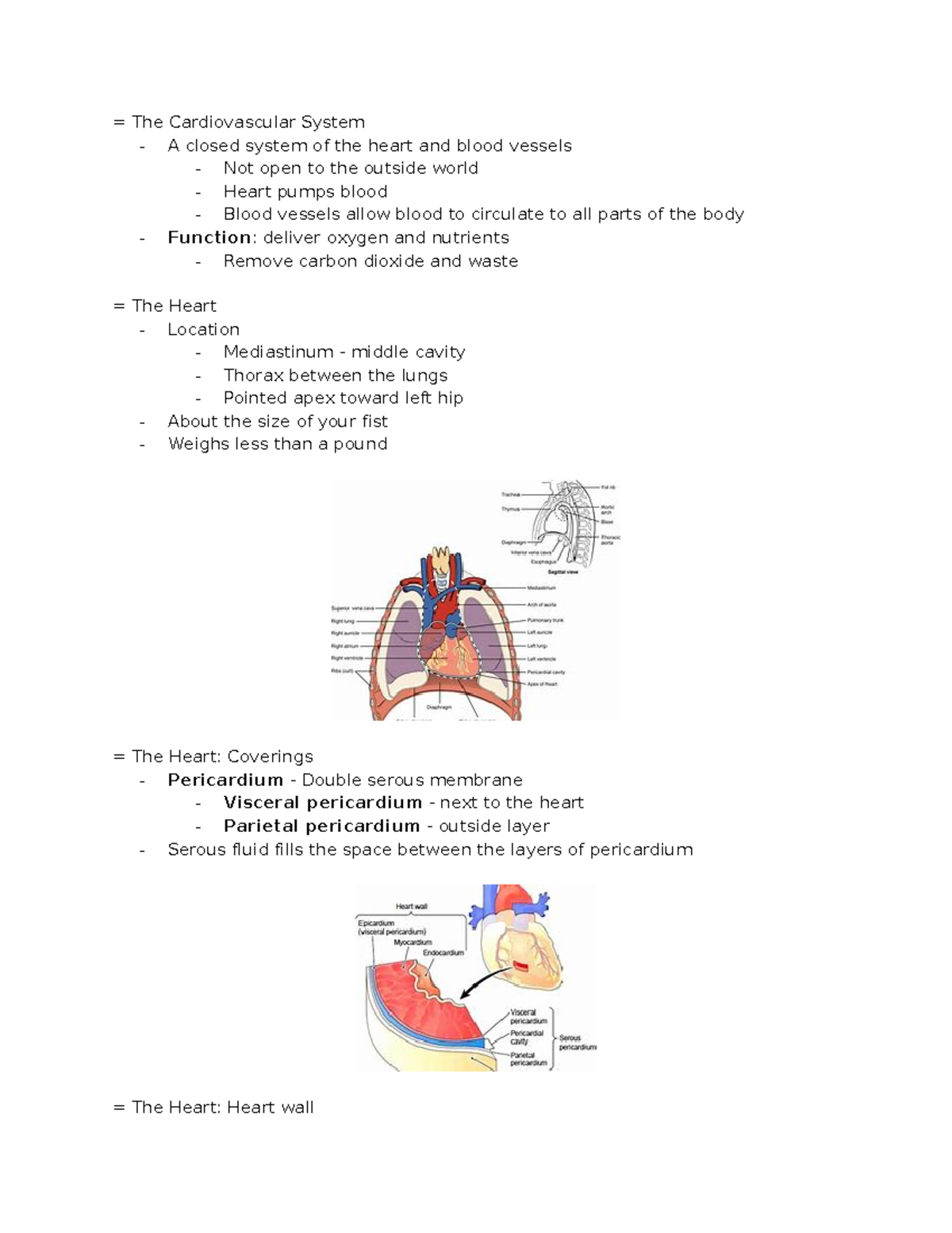 Physio Anatomy Cardiovascular System Notes - = The Cardiovascular ...