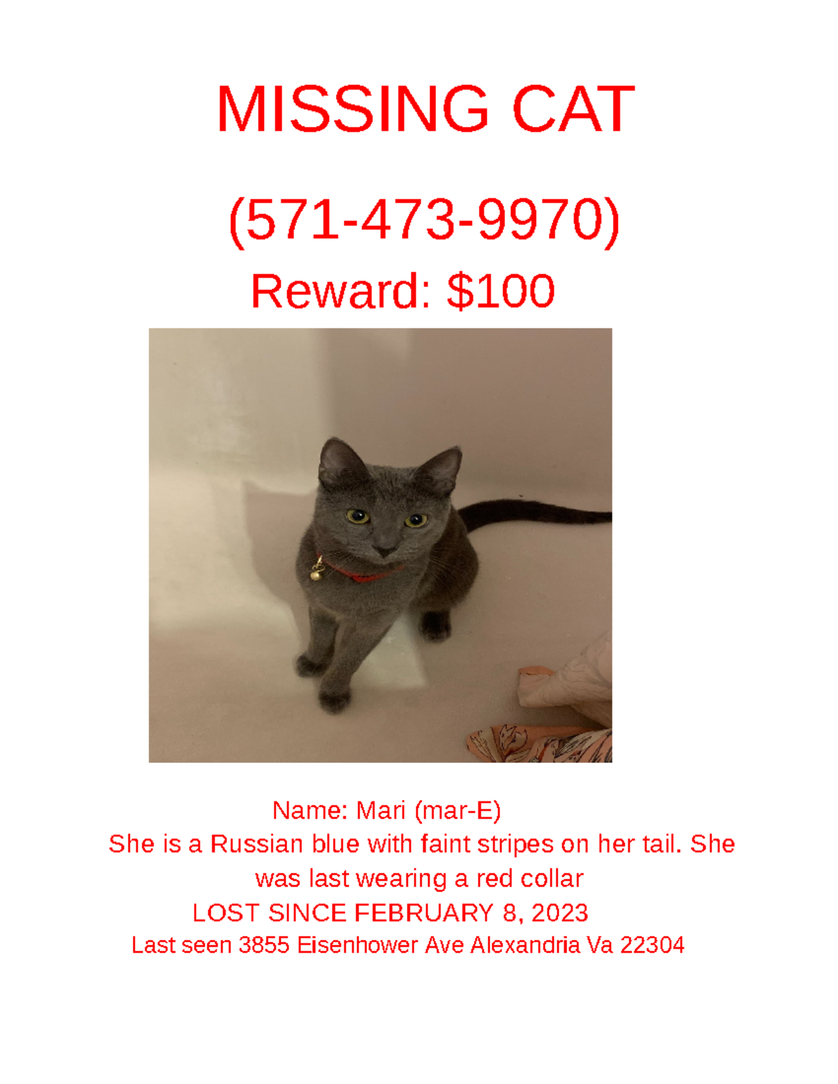 Untitled document - Google Docs - MISSING CAT (571-473-9970) Reward ...