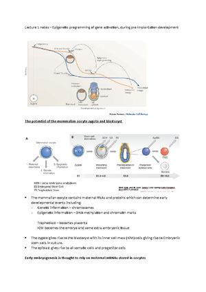 Lecture 1 - introduction to embryonic development - Lecture 1 ...