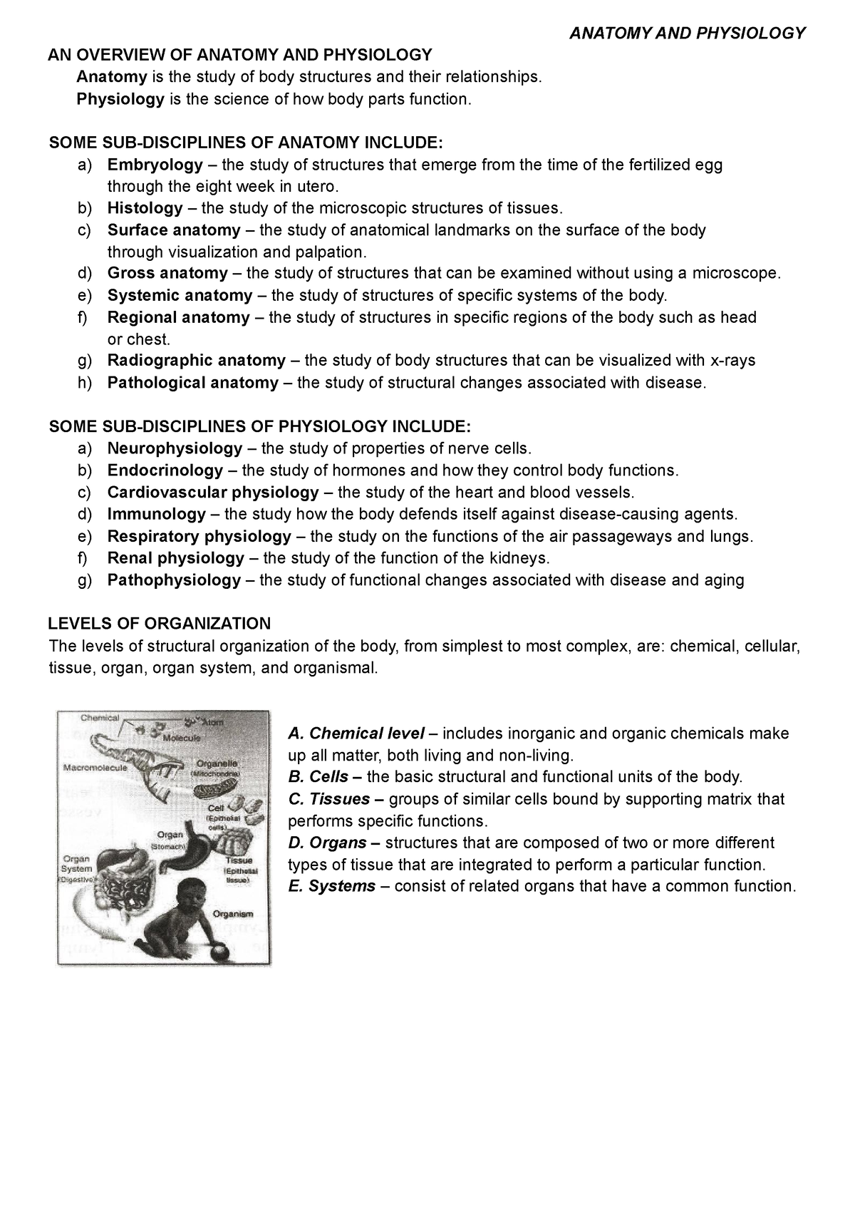 Anaphy- Chapter-1 - ORGANIZATION OF THE BODY - ANATOMY AND PHYSIOLOGY ...