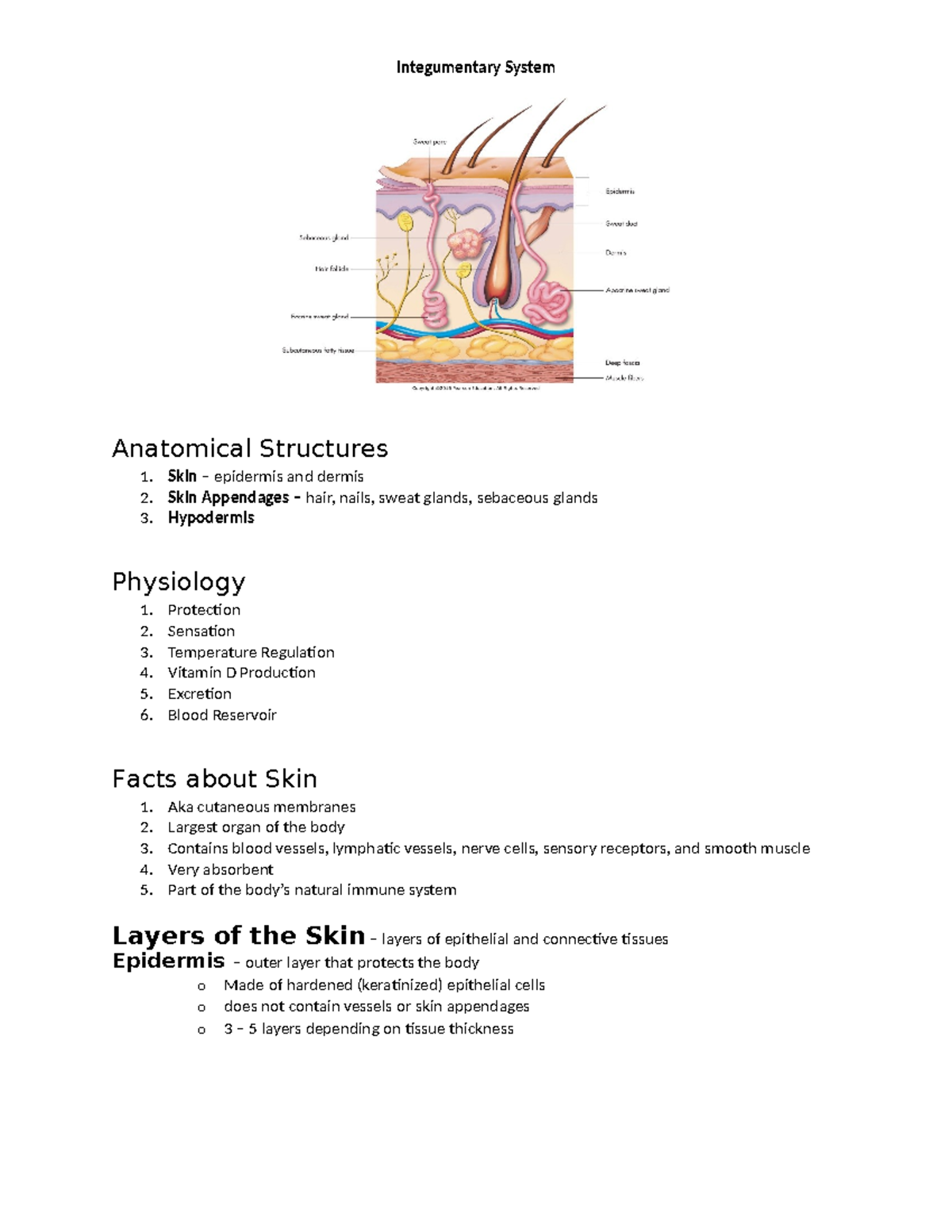 Integumentary System rev 2021 (Autosaved) - Integumentary System ...