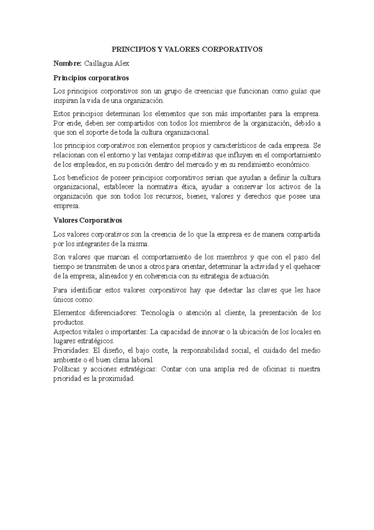 Principios Y Valores Corporativos Caillagua ALEX - PRINCIPIOS Y VALORES ...
