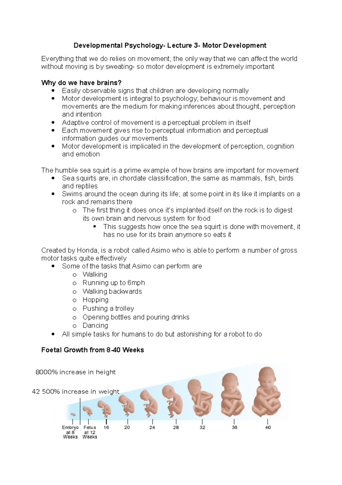 Lecture 3- Motor Development - Developmental Psychology- Lecture 3 ...
