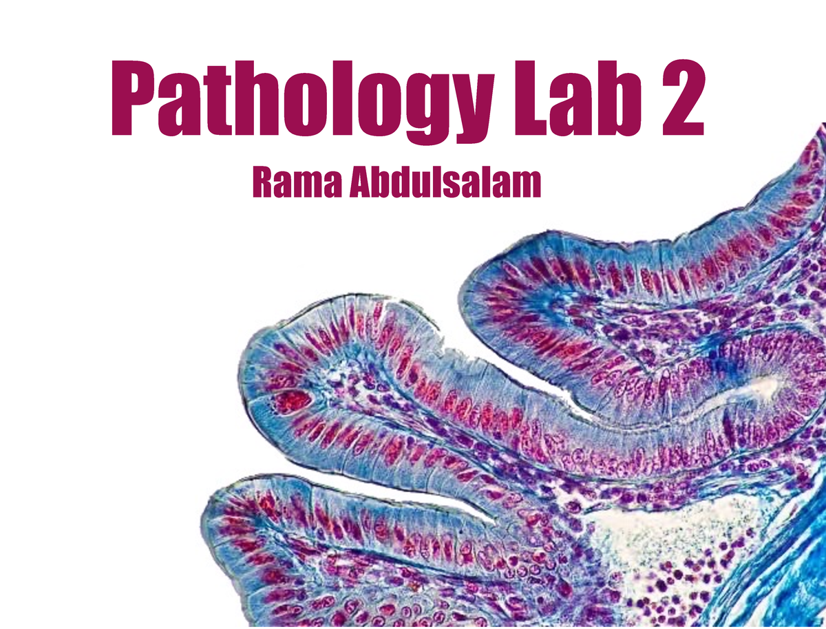 Pathology Lab 2 - ... - Pathology Lab 2 Rama Abdulsalam Diagnosis ...