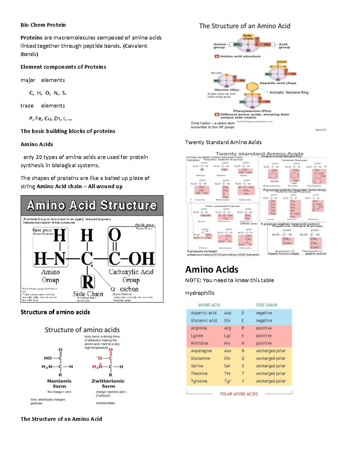 Bio Chem Protein Notes - fun to learn the basic unit of life - Bio Chem ...