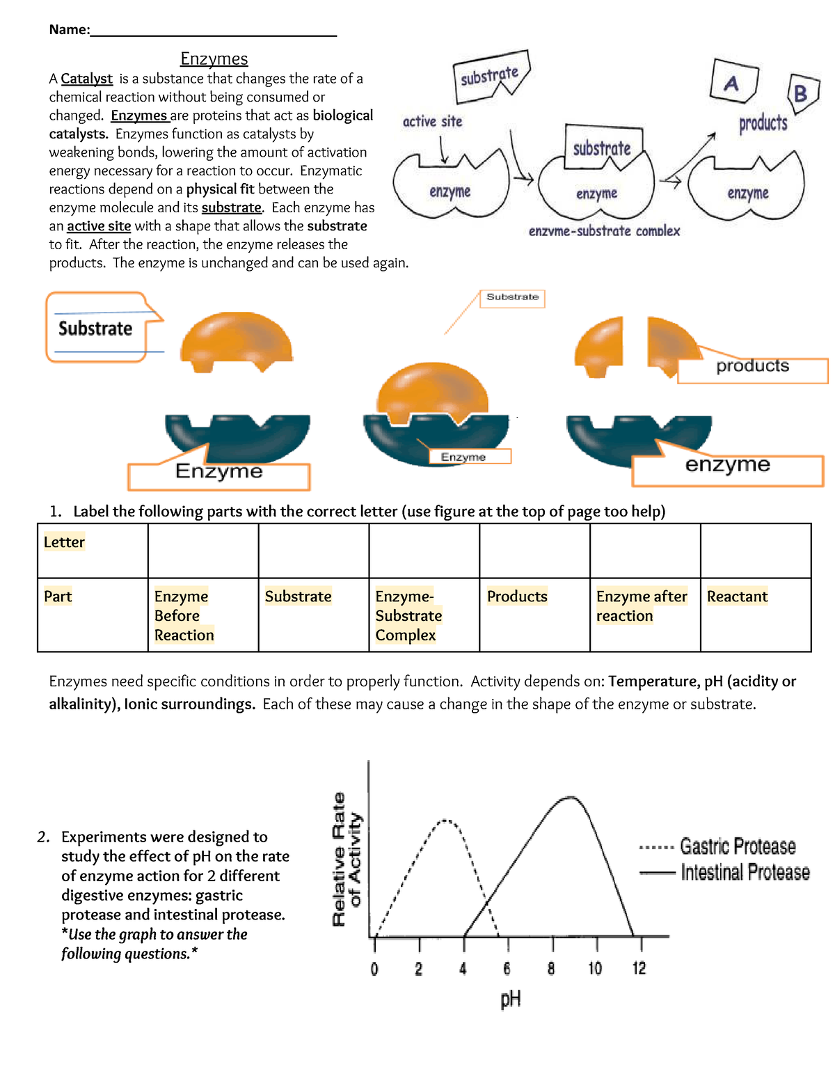 copy-of-simple-enzyme-worksheet-name-enzymes-a-catalyst-is-a