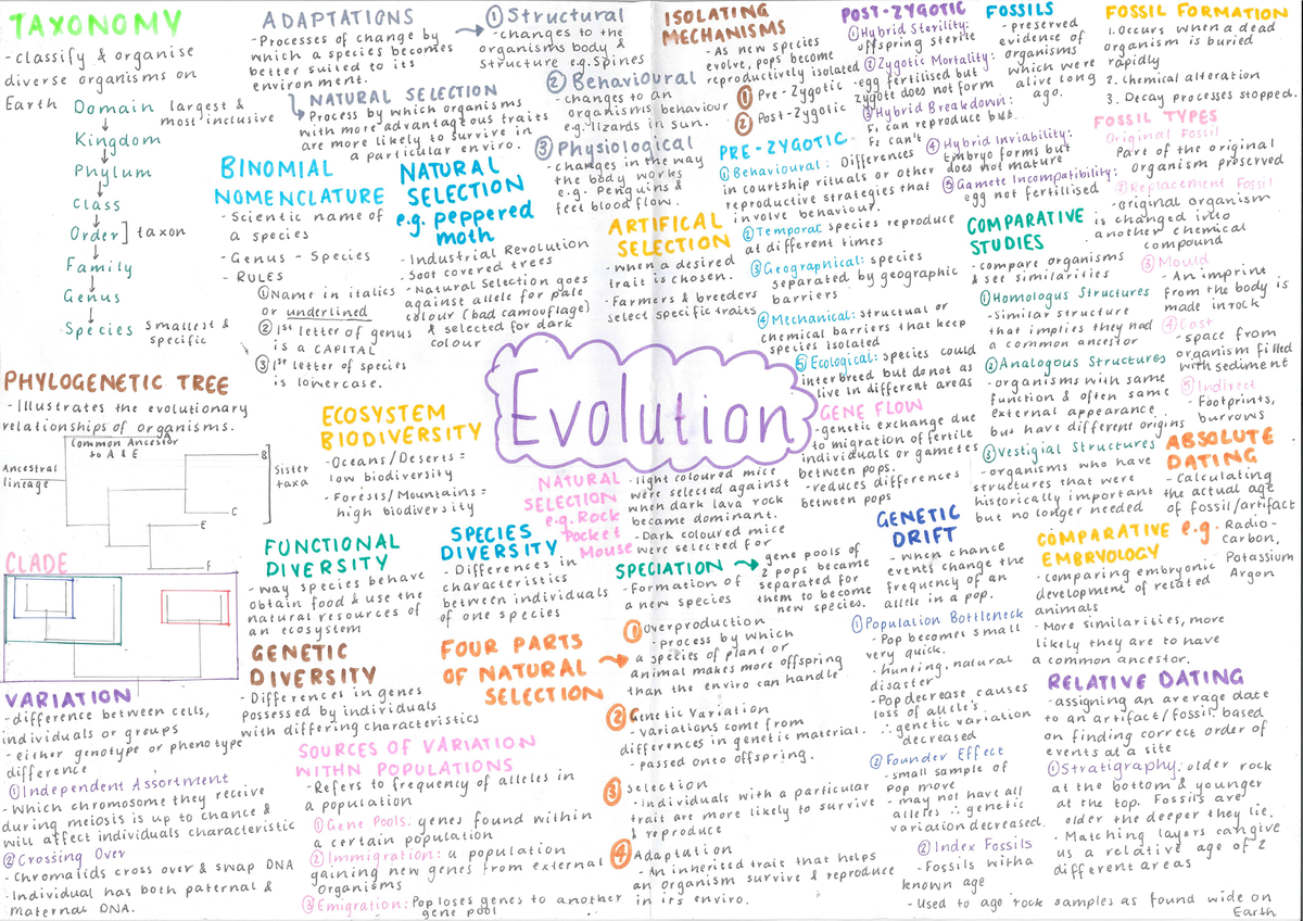 Evolution Mind Map Year 10 Science Biology BIO9452 StuDocu   Thumb 1200 848 