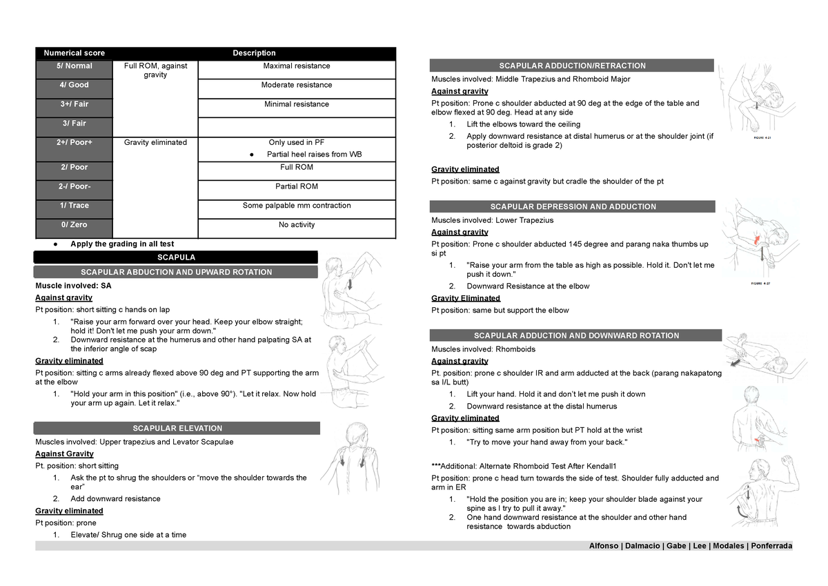 MMT & ROM - Summary Physical therapy - Numerical score Description 5 ...