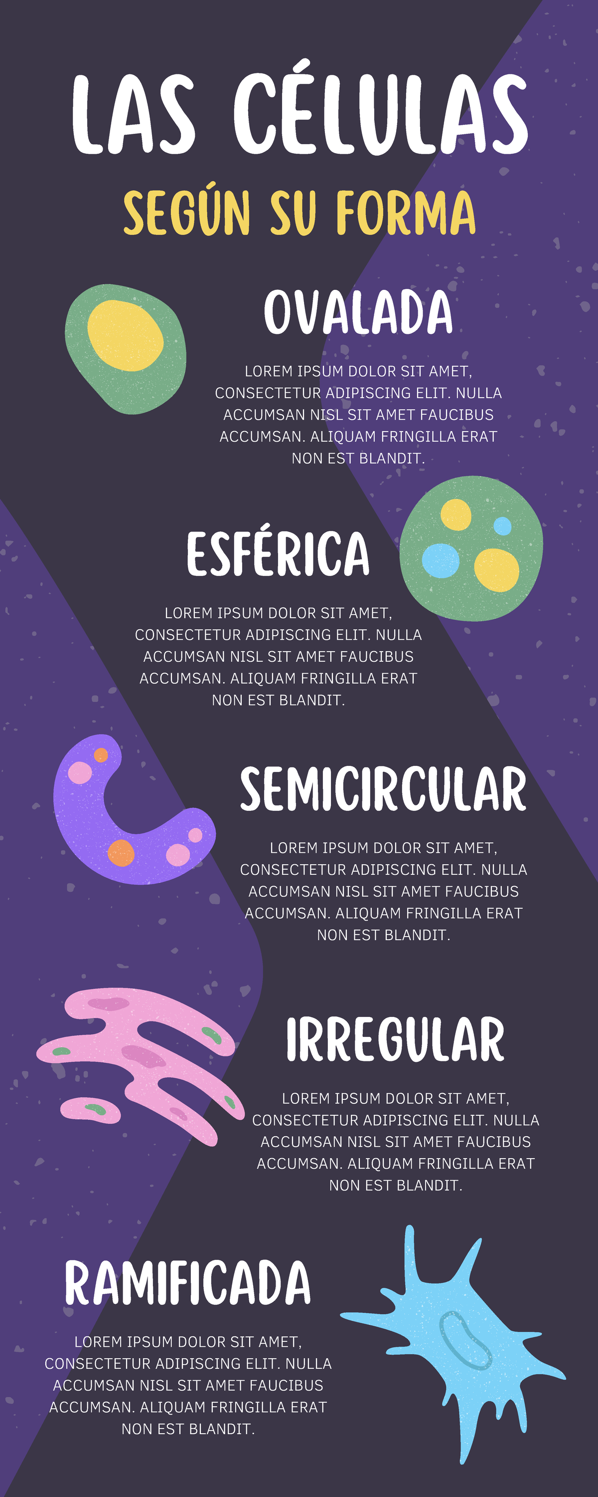 Infograf A C Lulas Biolog A Ciencia Org Nico Negro Morado Y Verde Las