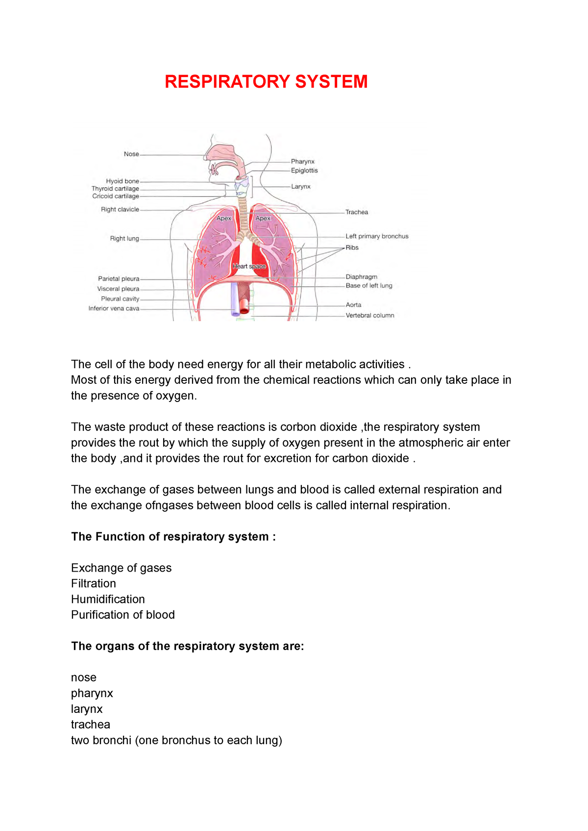 Respiratory system -1 - RESPIRATORY SYSTEM The cell of the body need ...