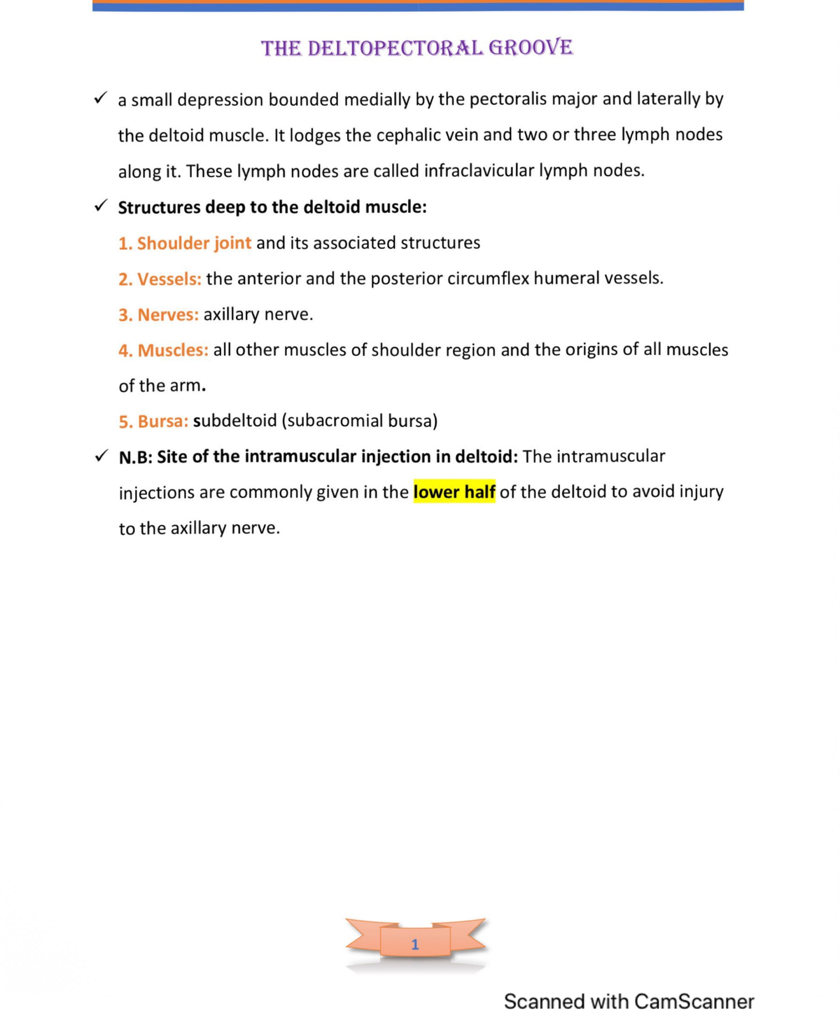 Additionall notes - Anatomy - Studocu