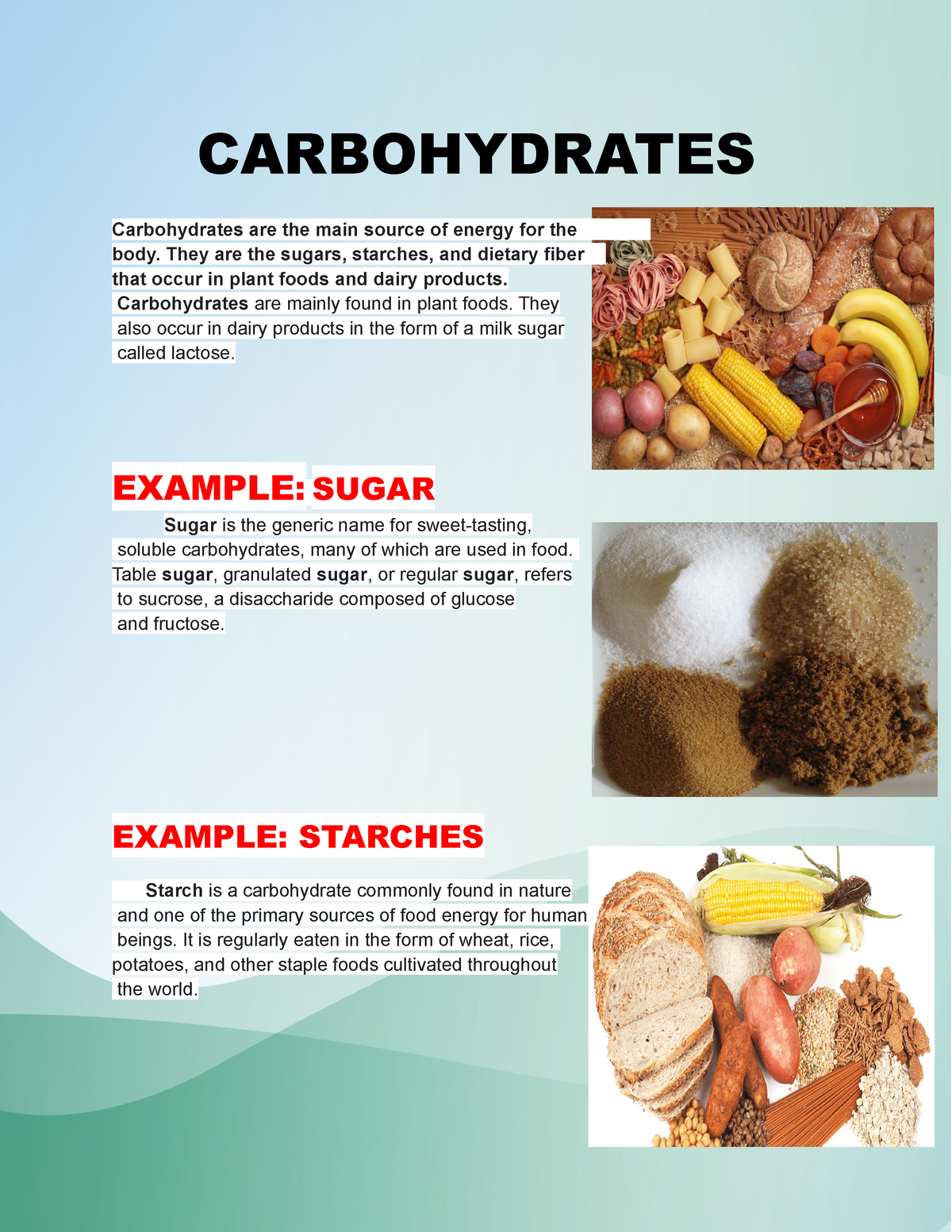 Brochure in ( Science) bueno - CARBOHYDRATES Carbohydrates are the main ...