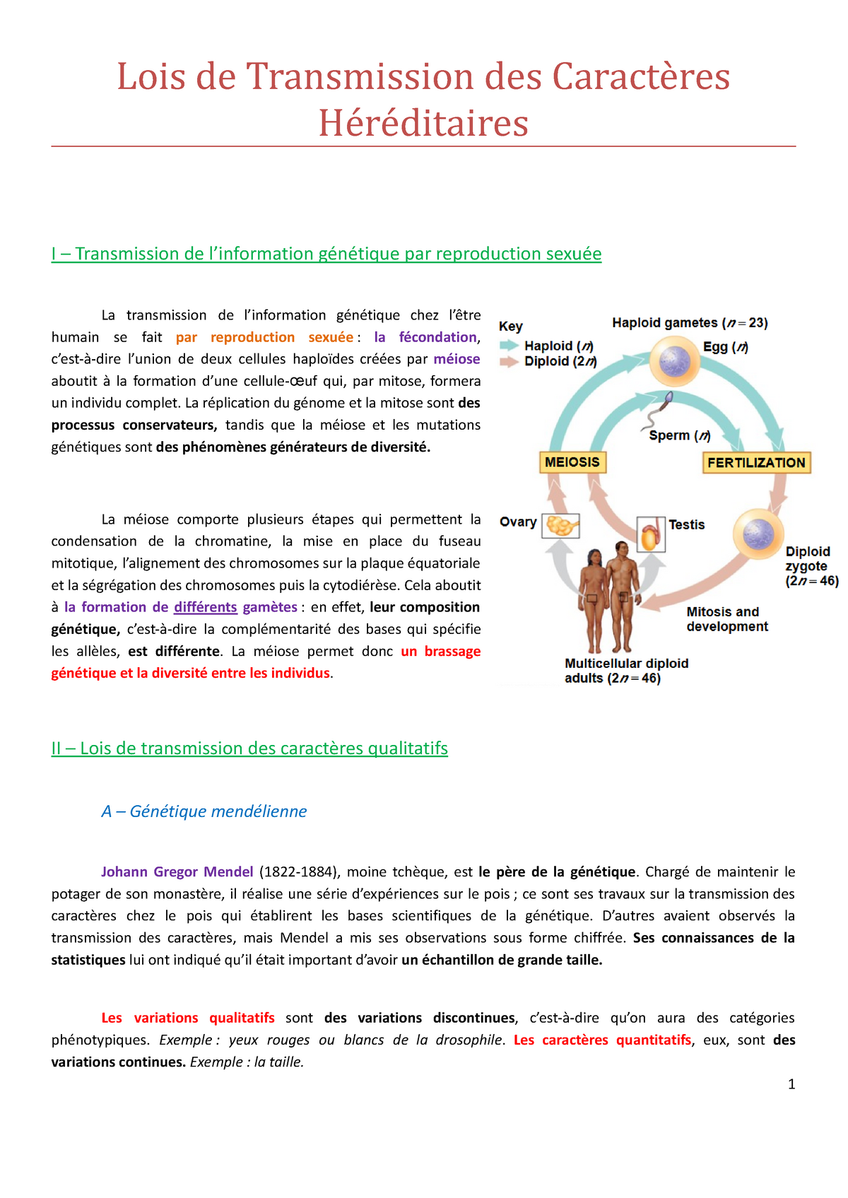 2 Lois de Transmission des Caract res H r ditaires Lois de