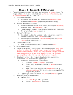 Chapter 1 Outline-LP - Essentials Of Human Anatomy And Physiology ...