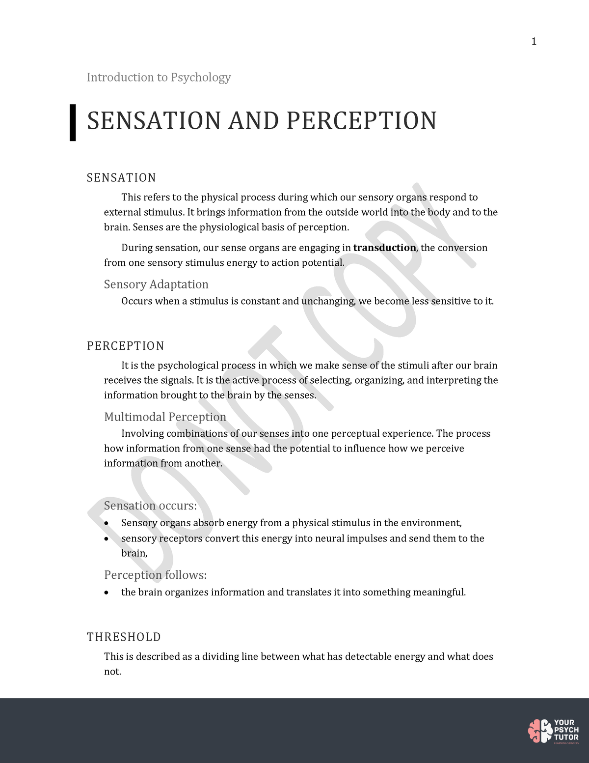 sensation and perception psychology essay