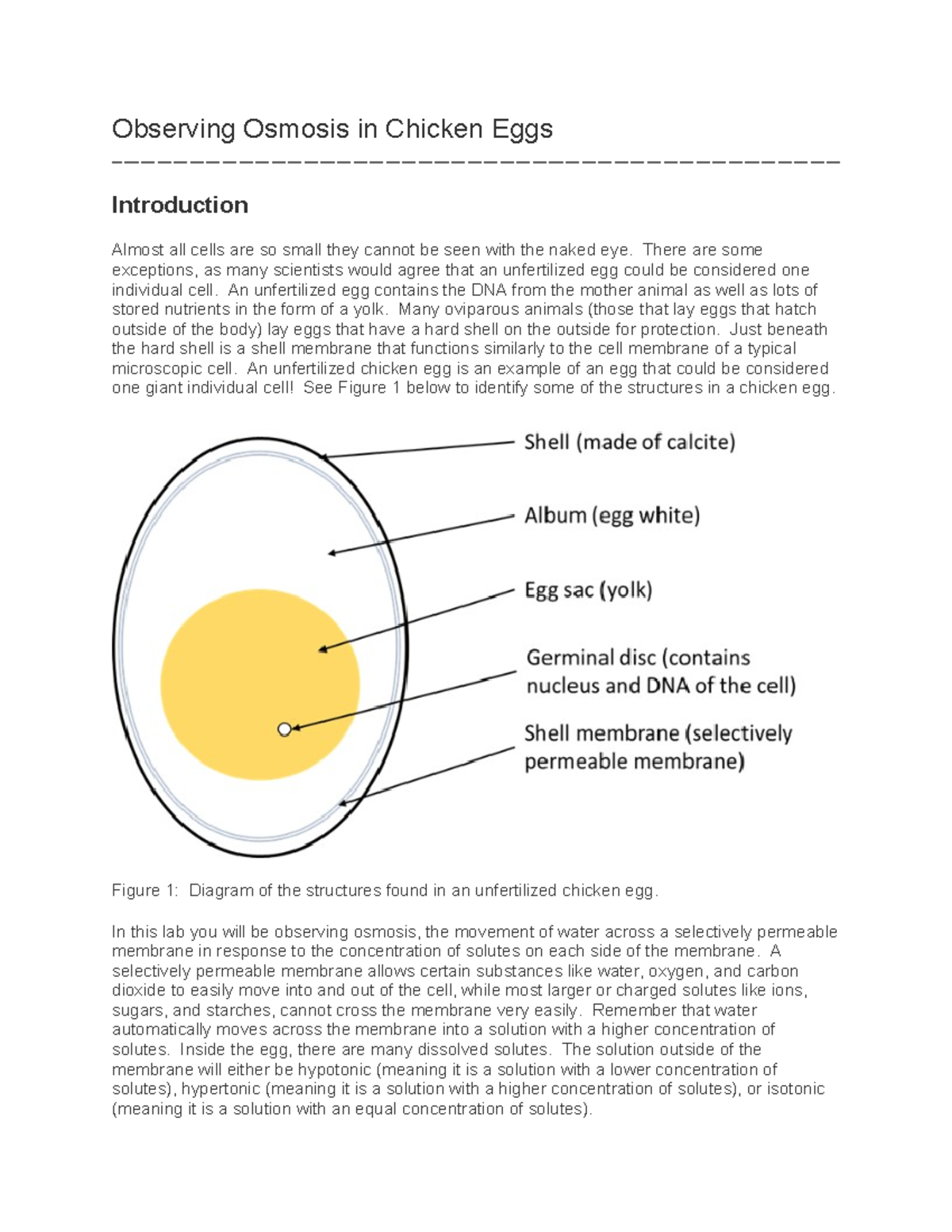 Lab 3 Observing Osmosis in Chicken Eggs Answer Sheet Observing