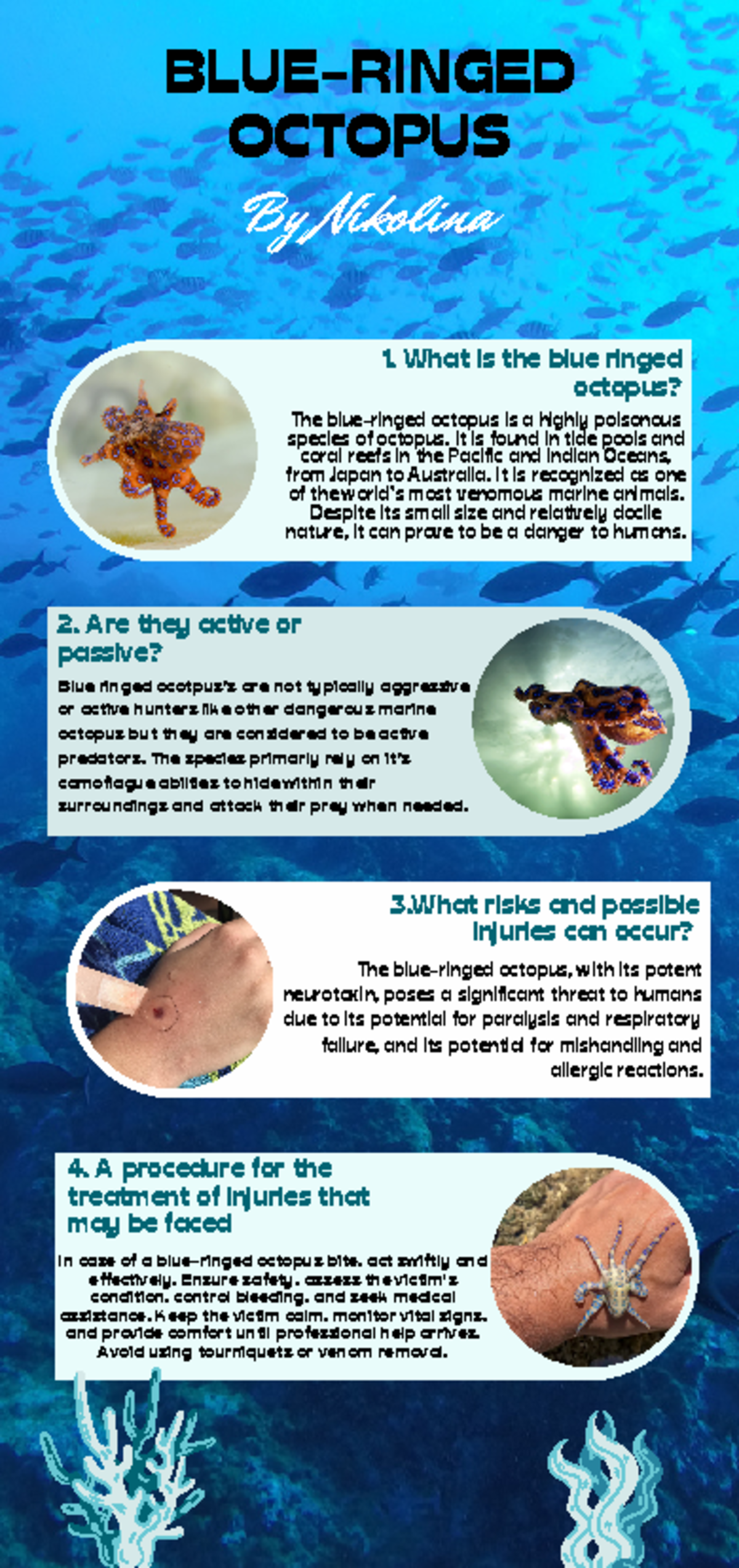 Marine assessment - BLUE-RINGED OCTOPUS By Nikolina 1. What is the blue ...
