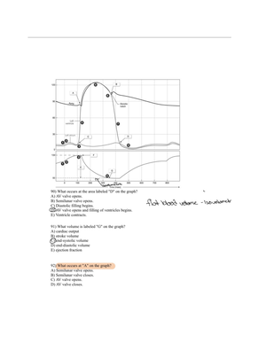 Anatomy And Physiology 2-Exam 1 - Anatomy & Physiology 2 - Exam 1 What ...