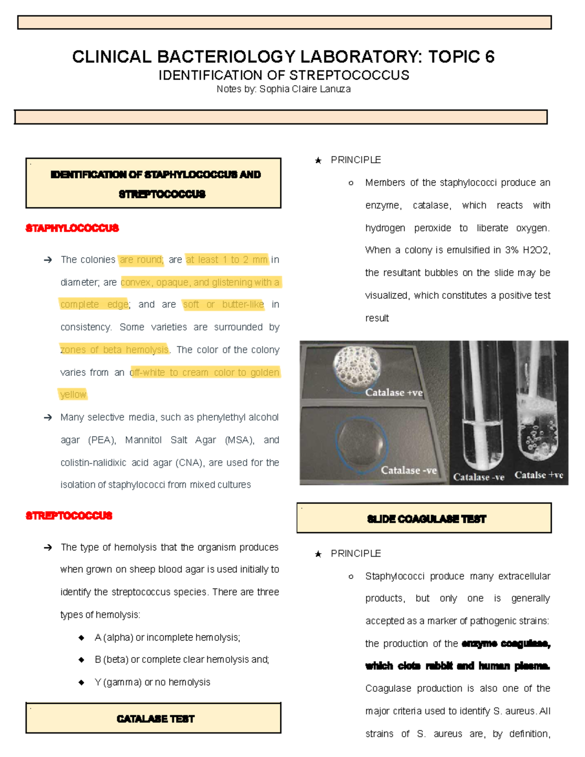 Clinical Bacteriology Topic 6 CLINICAL BACTERIOLOGY LABORATORY TOPIC 6 IDENTIFICATION OF