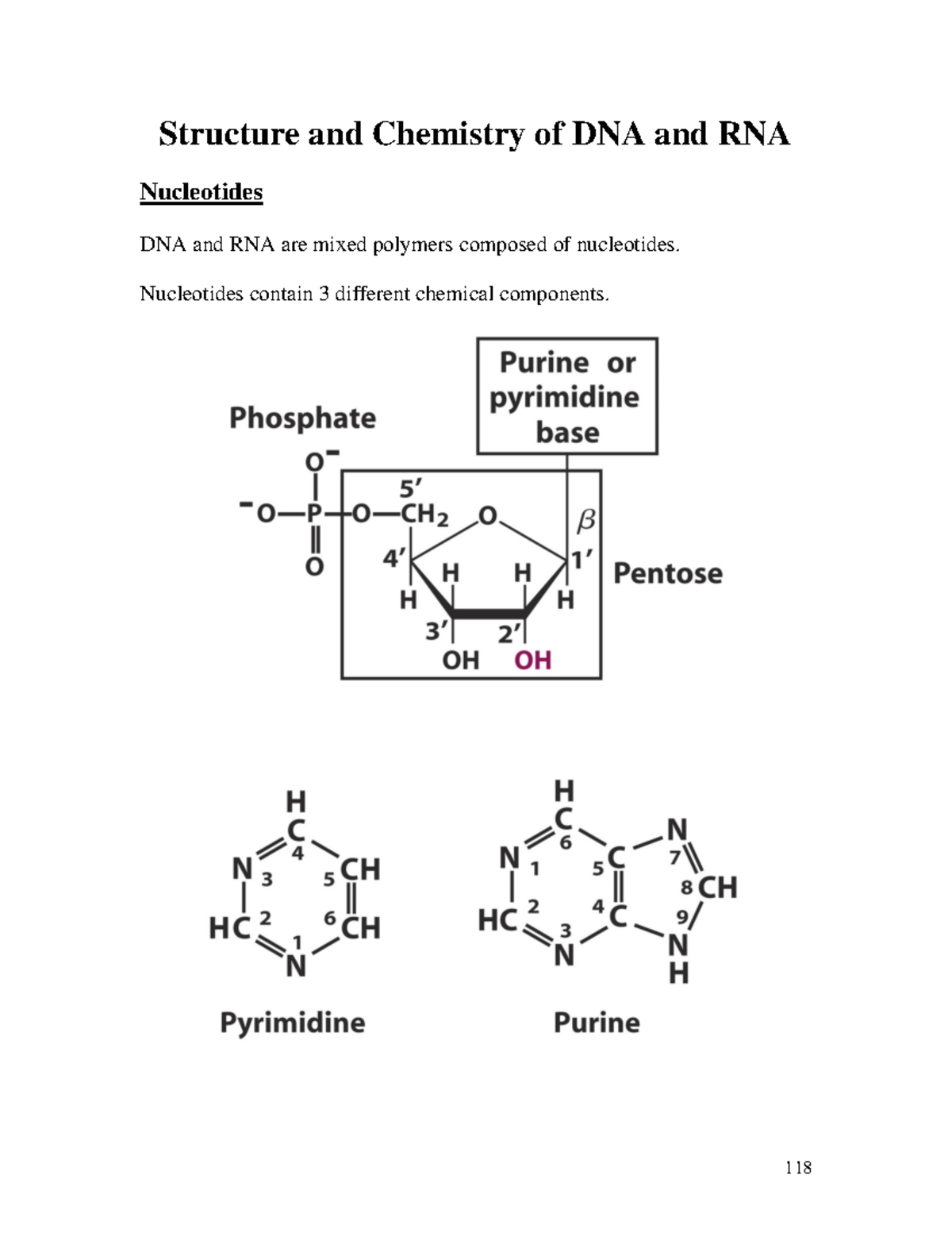 biol-4093-5-dna-and-rna-structure-and-chemistry-of-dna-and-rna